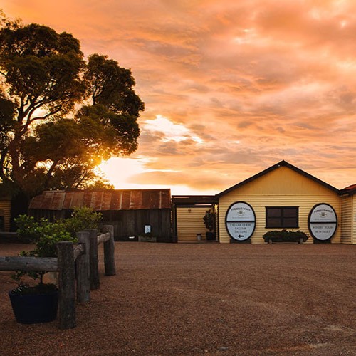 Tyrrells's Wines Winery